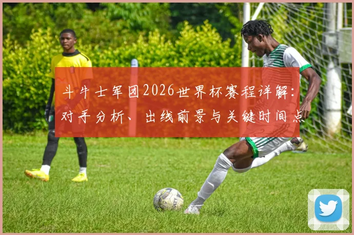 斗牛士军团2026世界杯赛程详解：对手分析、出线前景与关键时间点